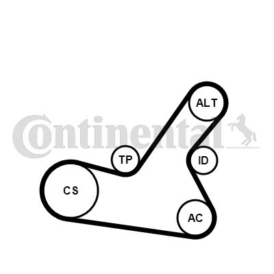 Keilrippenriemensatz CONTINENTAL CTAM 6PK1564K2