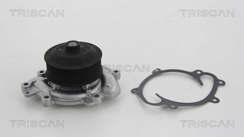 Wasserpumpe TRISCAN 8600 23017