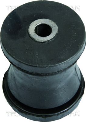 Lager Achskörper Hilfsrahmen TRISCAN 8500 24819
