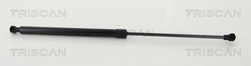 Heckklappendämpfer TRISCAN 8710 25277