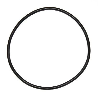 Dichtring ELRING 000.924