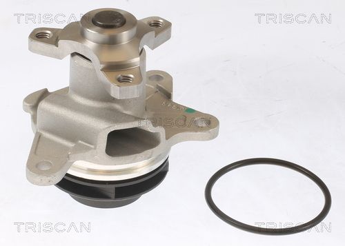 Wasserpumpe TRISCAN 8600 10086