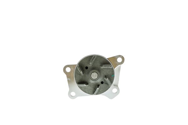 Wasserpumpe, Motorkühlung AISIN WPS-901