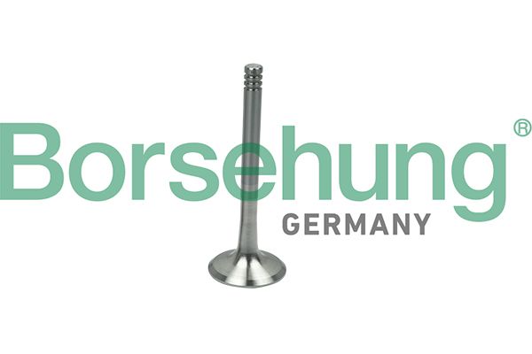 Auslassventil BORSEHUNG B19013