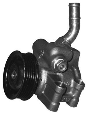 Hydraulikpumpe, Lenkung GENERAL RICAMBI pi1109