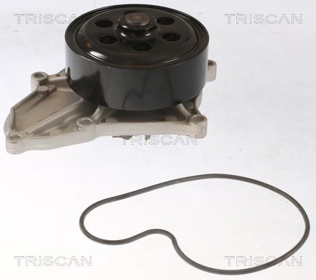Wasserpumpe TRISCAN 8600 40018