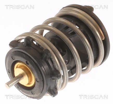 Kühlwasserthermostat TRISCAN 8620 49892