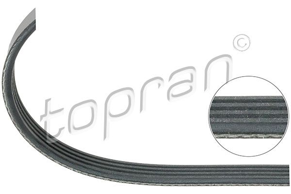 Keilrippenriemen TOPRAN 205 749