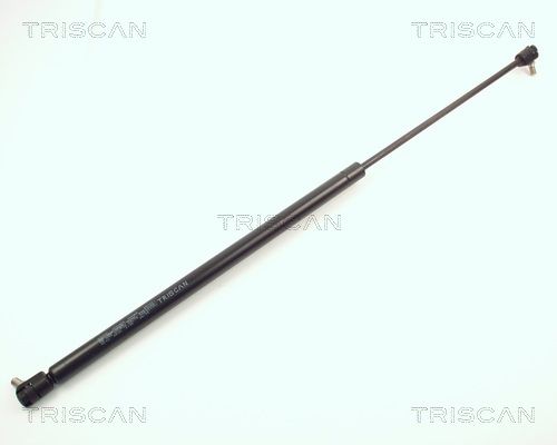 Heckklappendämpfer TRISCAN 8710 4200