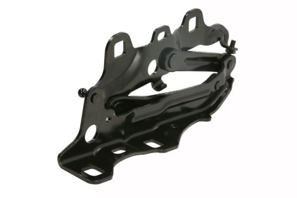 Scharnier, Motorhaube BLIC 6802-00-3209451P