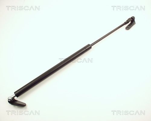 Heckklappendämpfer TRISCAN 8710 13235