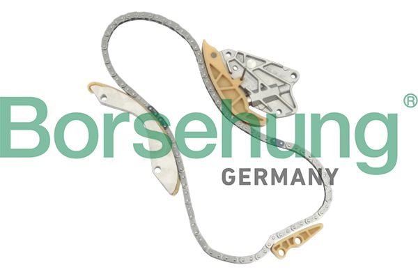 Steuerkettensatz BORSEHUNG B10204