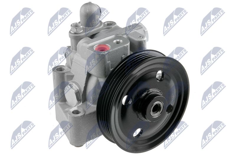 Servopumpe Hydraulikpumpe NTY SPW-FR-003