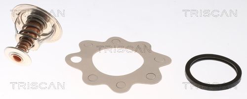 Kühlwasserthermostat TRISCAN 8620 6182