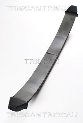 Federnpaket TRISCAN 876523002