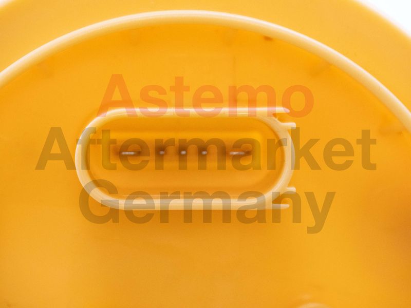 Kraftstoff-Fördereinheit HITACHI 2502732