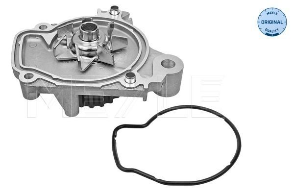 Wasserpumpe, Motorkühlung MEYLE 31-131920002