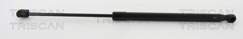 Heckklappendämpfer TRISCAN 8710 18237