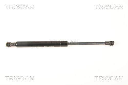 Heckklappendämpfer TRISCAN 8710 25249