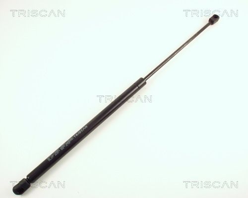 Heckklappendämpfer TRISCAN 8710 65201