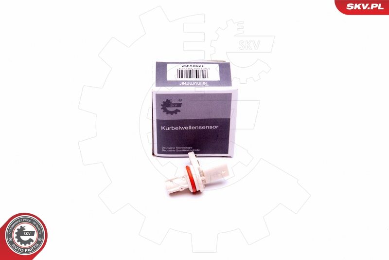 Sensor, Nockenwellenposition ESEN SKV 17SKV497