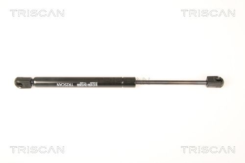 Heckklappendämpfer TRISCAN 8710 29291