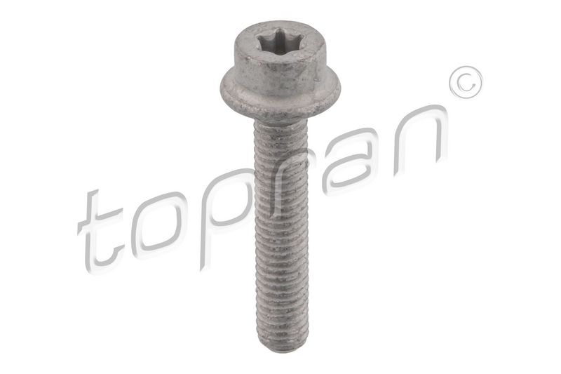 Schraube TOPRAN 411 097