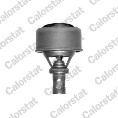 Kühlwasserthermostat CALORSTAT by Vernet TH4495.75