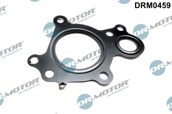 Dichtung, AGR-Ventil Dr.Motor Automotive drm0459