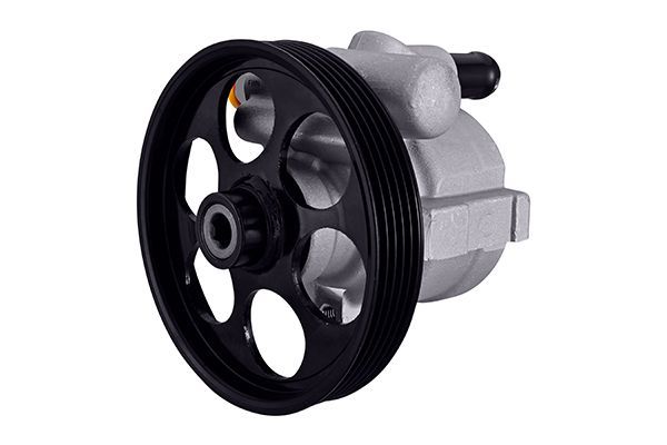 Servopumpe Hydraulikpumpe HELLA 8TL 359 003-051