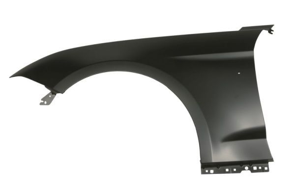 Kotflügel BLIC 6504-04-2589315P