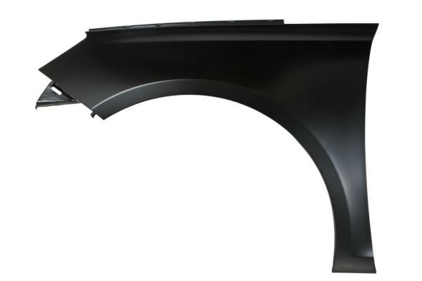 Kotflügel BLIC 6504-04-5519313P