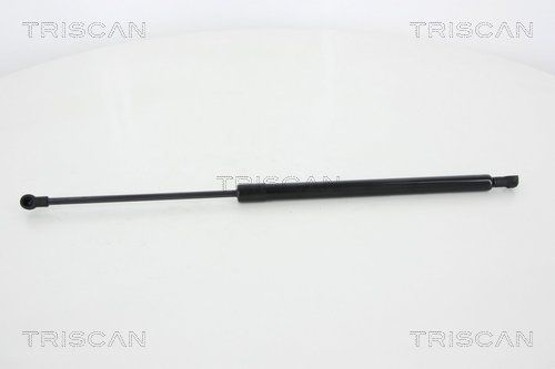 Heckklappendämpfer TRISCAN 8710 25255