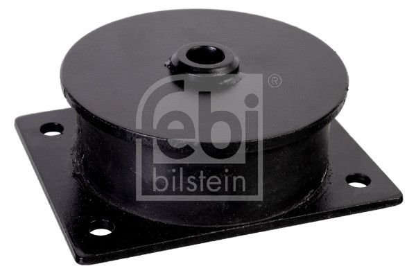 Lagerung, Motor FEBI BILSTEIN 174189