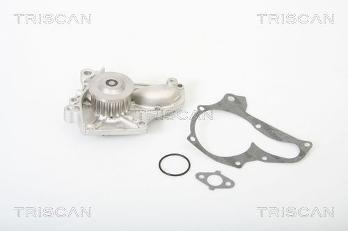 Wasserpumpe TRISCAN 8600 13029