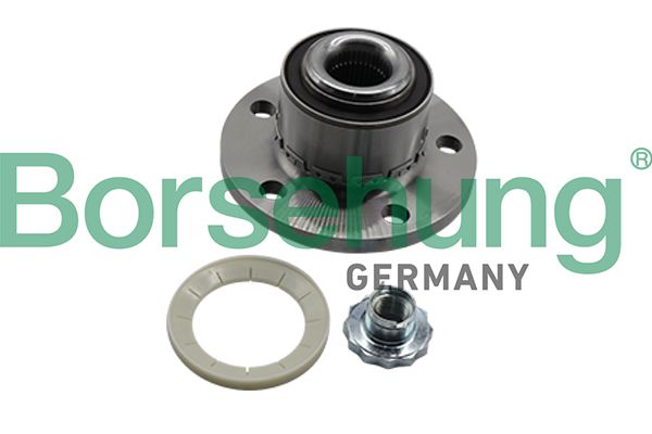 Radlagersatz BORSEHUNG B19309