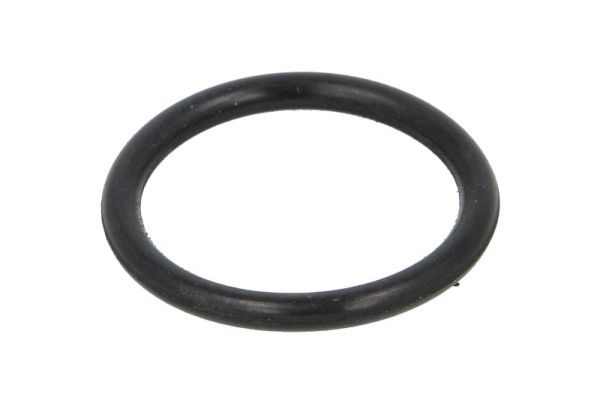Dichtung, Kühlmittelrohr THERMOTEC DWC155TT
