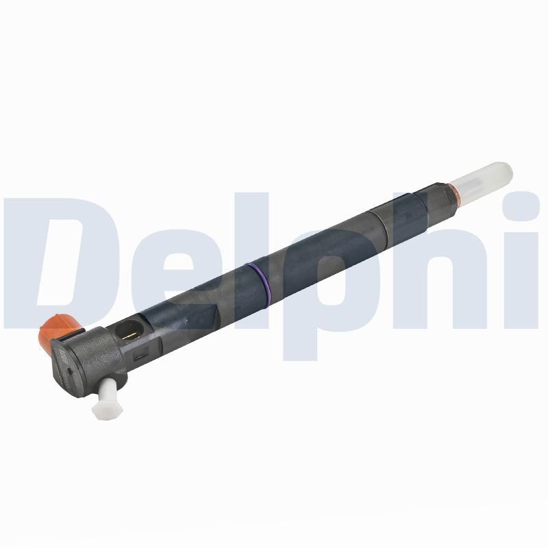 Einspritzventil DELPHI 28489562-12B1