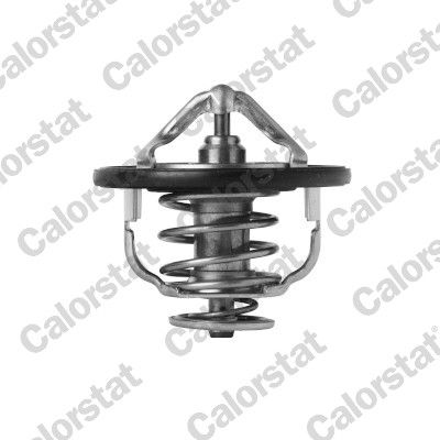 Kühlwasserthermostat CALORSTAT by Vernet TH7399.85J