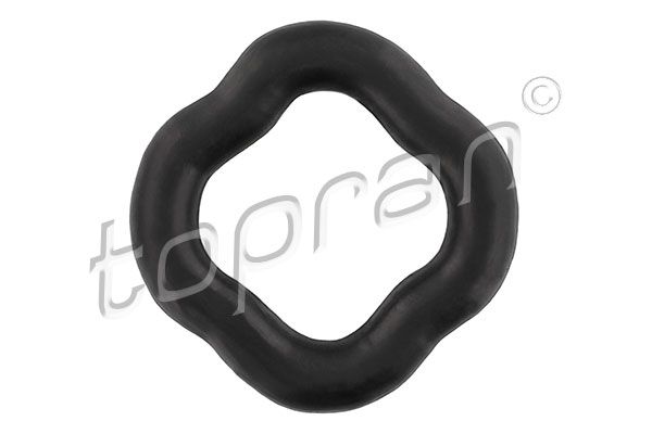 Halter, Abgasanlage TOPRAN 500 186