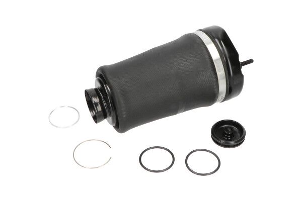 Luftfeder, Fahrwerk KAVO PARTS SAS-10004