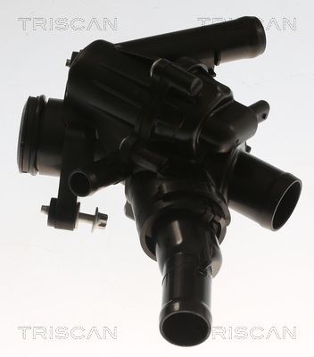 Kühlwasserthermostat TRISCAN 8620 55797
