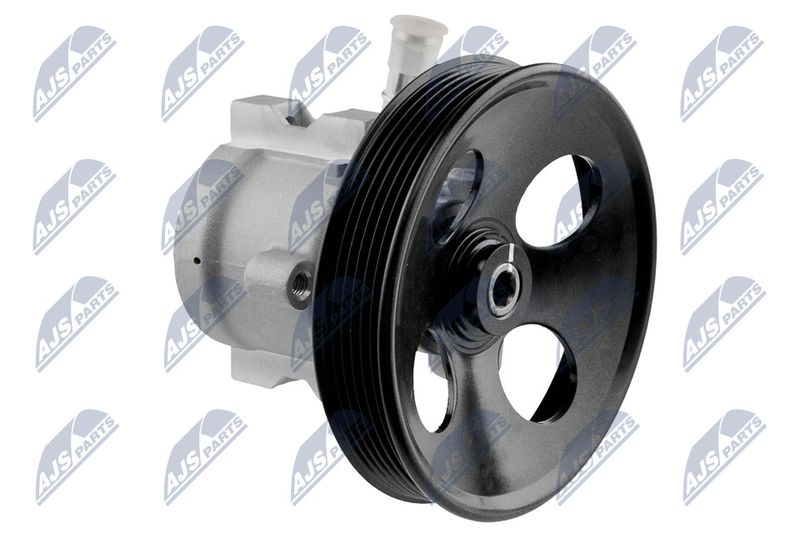 Servopumpe Hydraulikpumpe NTY SPW-PL-006