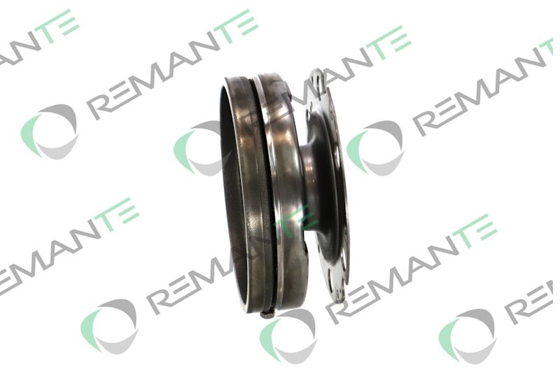 Schwungrad REMANTE 009-001-000205R