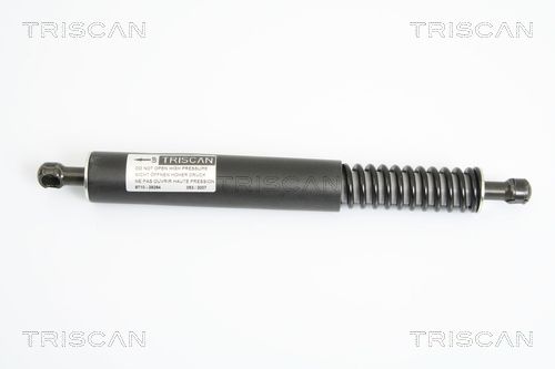 Gasfeder, Koffer-/Laderaum TRISCAN 871029264