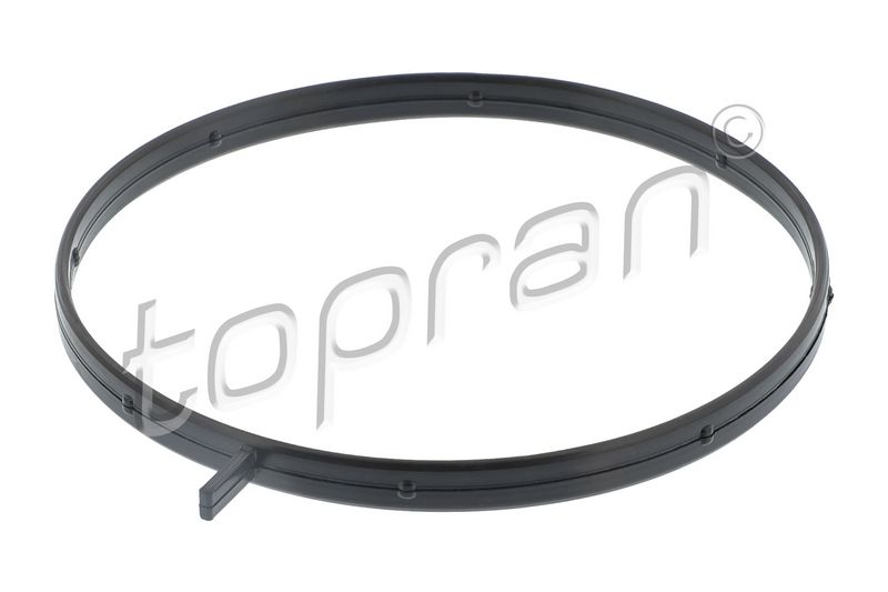 Dichtung, Ansaugkrümmergehäuse TOPRAN 411 256