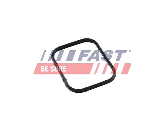 Dichtung, Ansaugkrümmer FAST FT49421