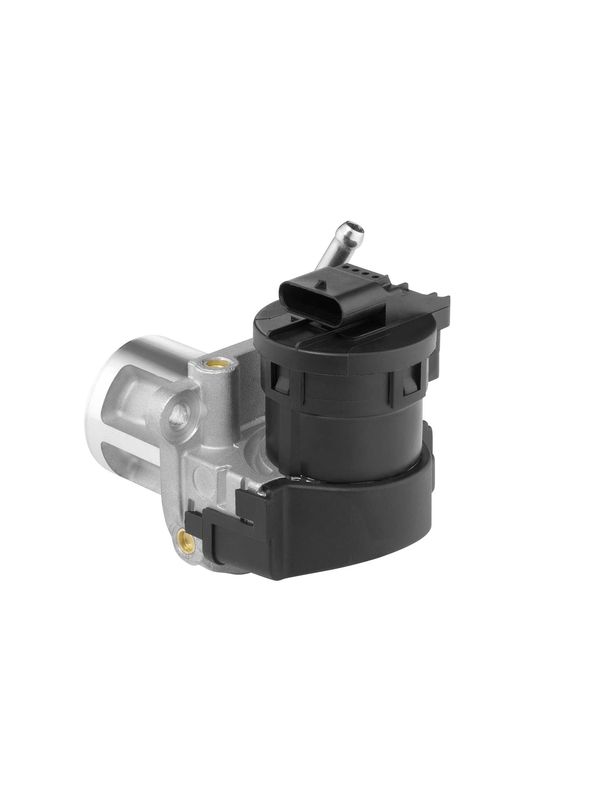 AGR-Ventil BorgWarner 710095D/1