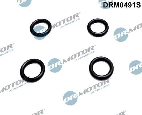 Dichtring, Düsenhalter Dr.Motor Automotive drm0491s
