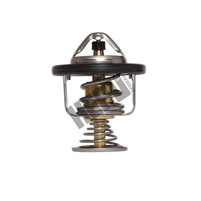 Thermostat, Kühlmittel HEPU tm1287
